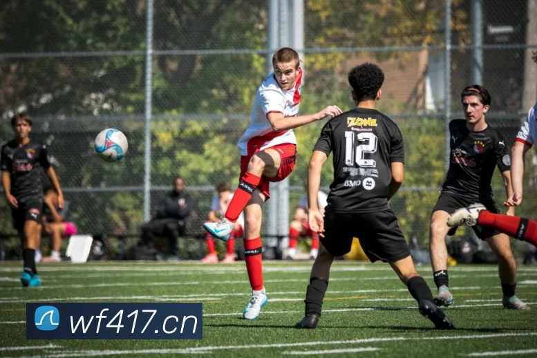 hth官方网页版 - hth(中国)平台生态图